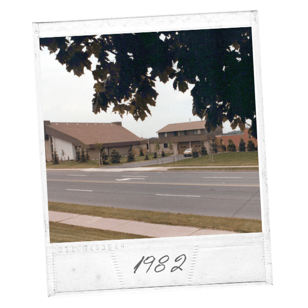 Novak Landscaping Services