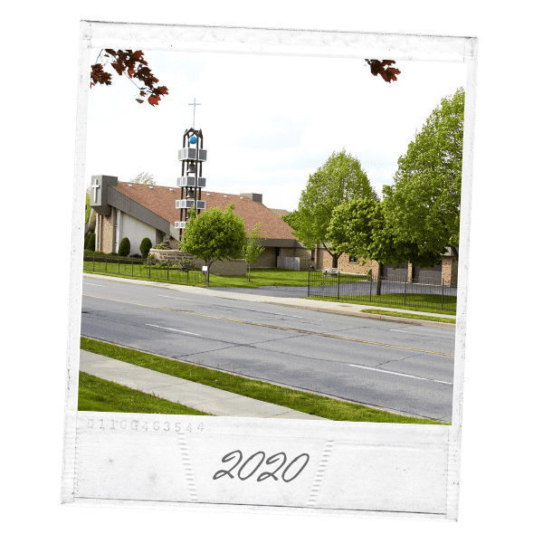 Expert Novak Landscape Contractors