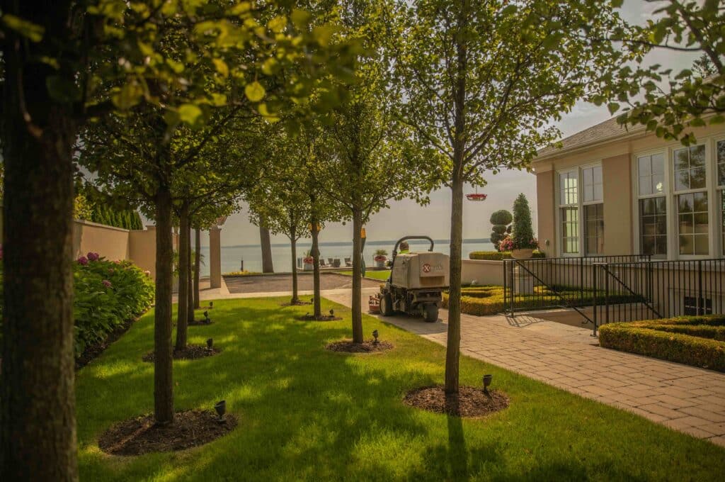 Landscaping after completion